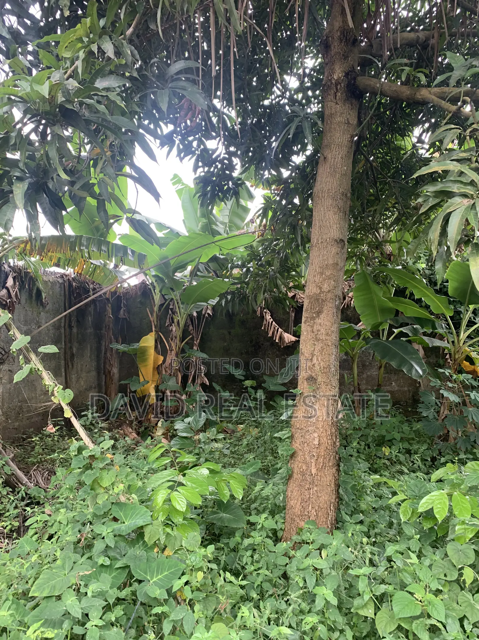 One Plot of Land for Sale – Atali Farm Estate