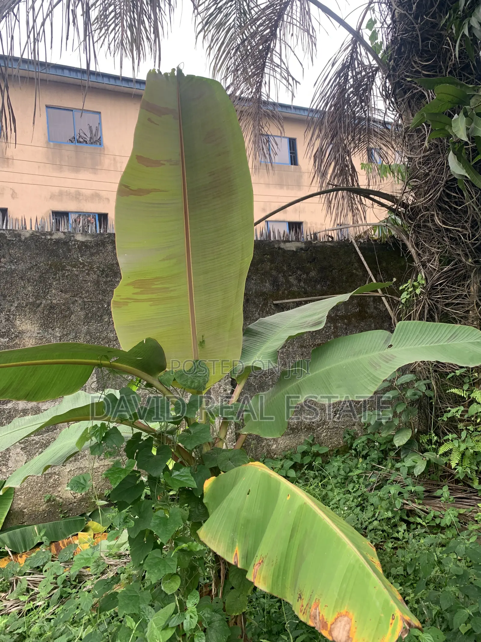 One Plot of Land for Sale – Atali Farm Estate