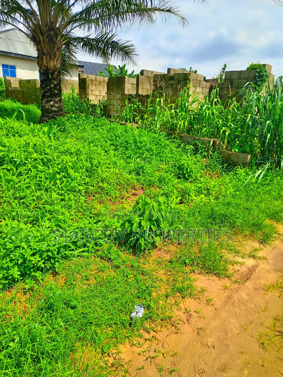 Half Plots of Land for Sale in Tipper Gar Akute With Granite and Sand