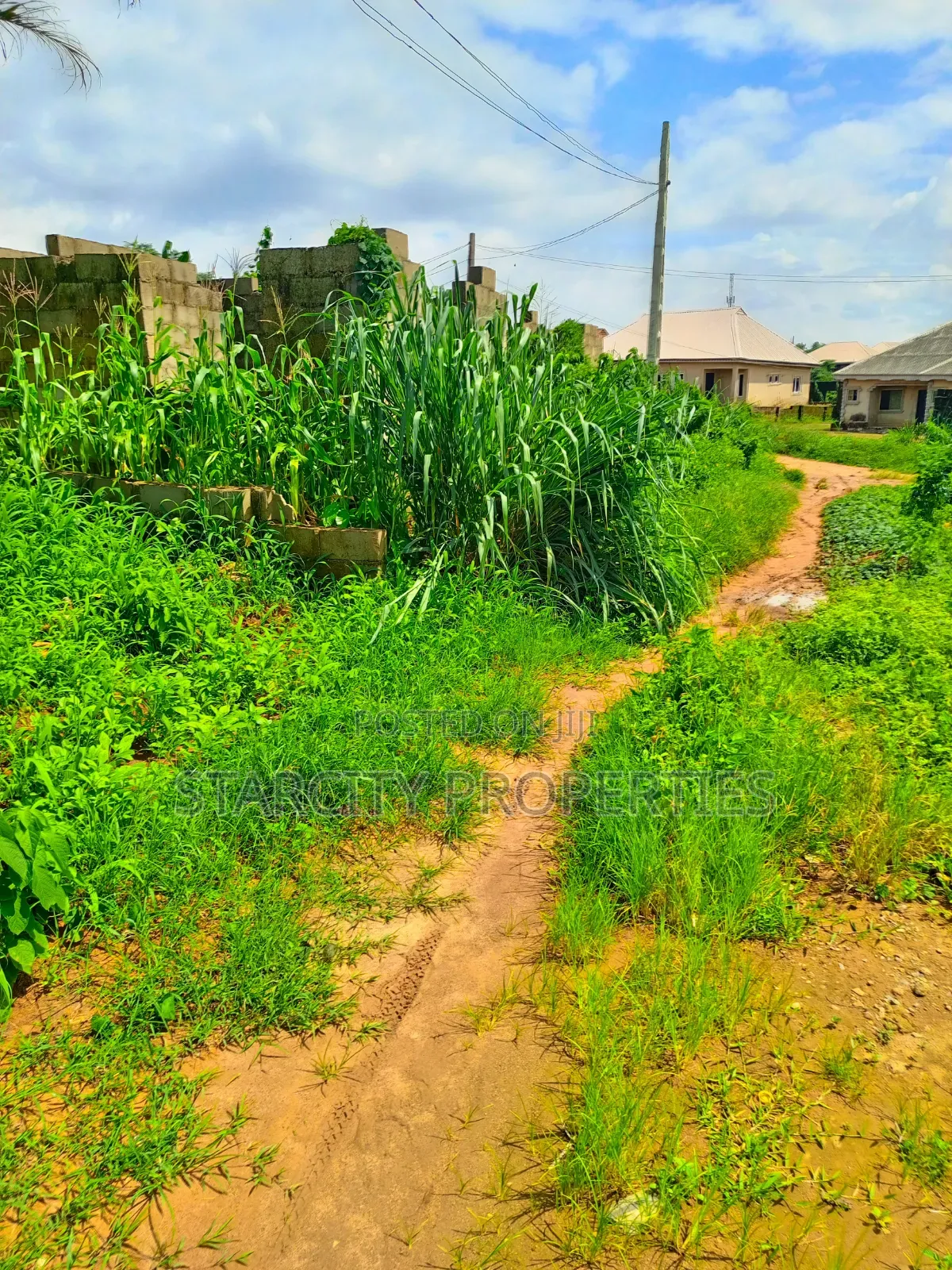 Half Plots of Land for Sale in Tipper Gar Akute With Granite and Sand
