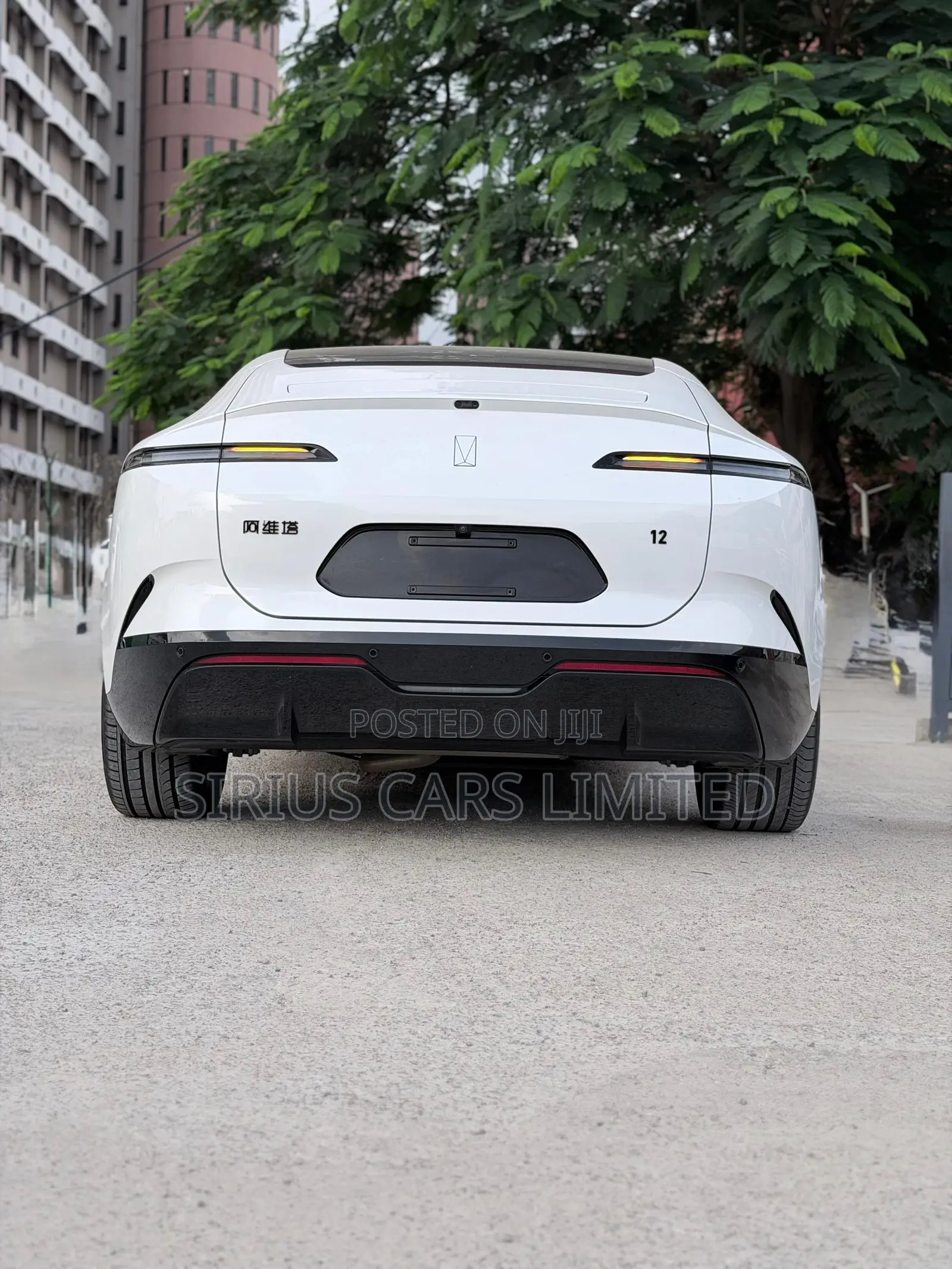New Avatr 12 2025 White
