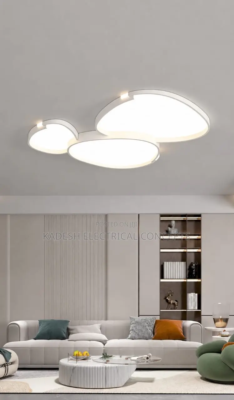Modern Simplicity Led Ceiling Lamp for Living Room Kitchen