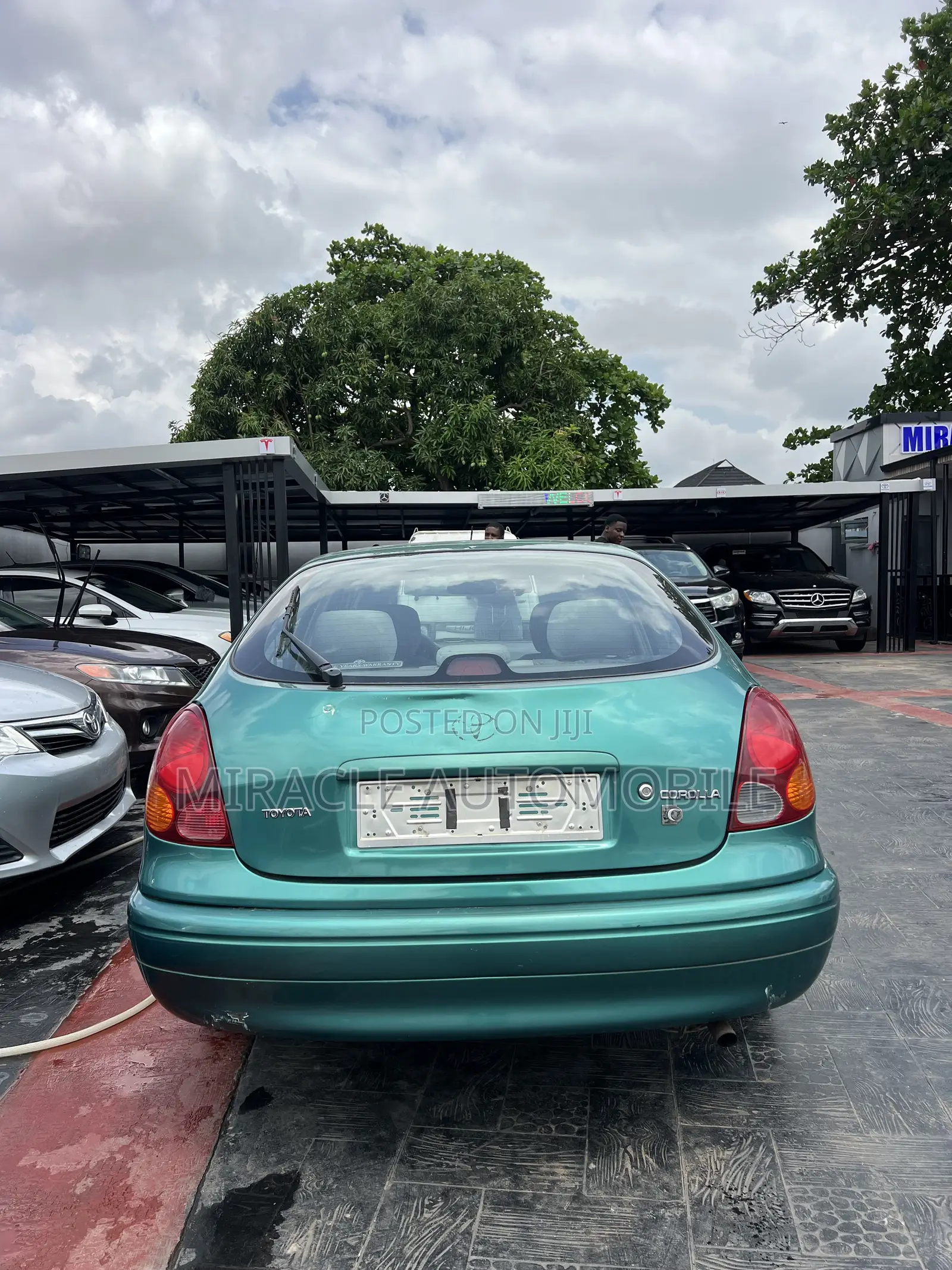 Toyota Corolla Station Wagon 1999 Green