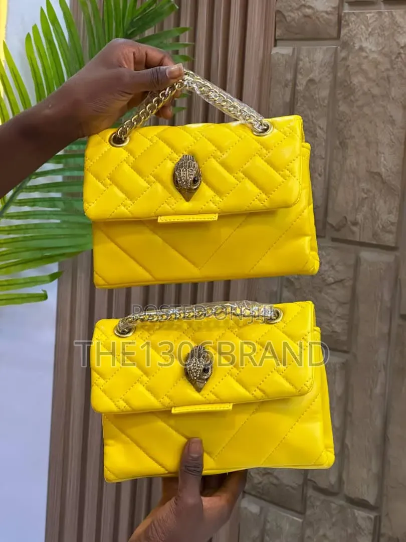 Kurt Geiger Bag