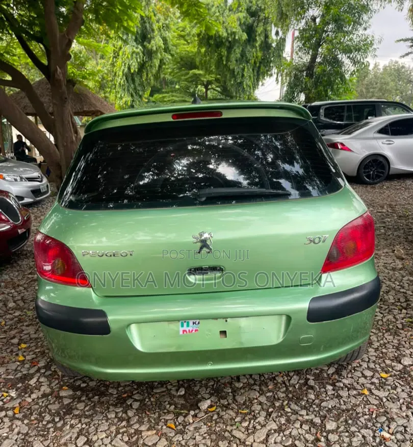 Peugeot 307 1.4 90 Grand Filou Cool 2006 Green