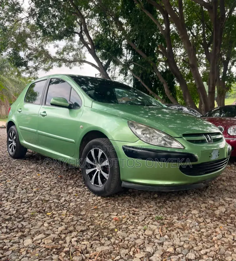 Peugeot 307 1.4 90 Grand Filou Cool 2006 Green