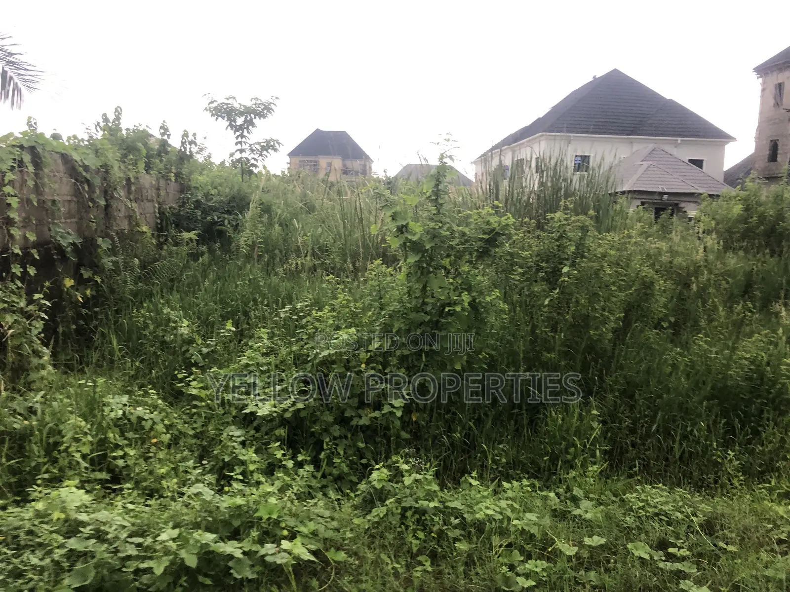 Full Plot of Land Available