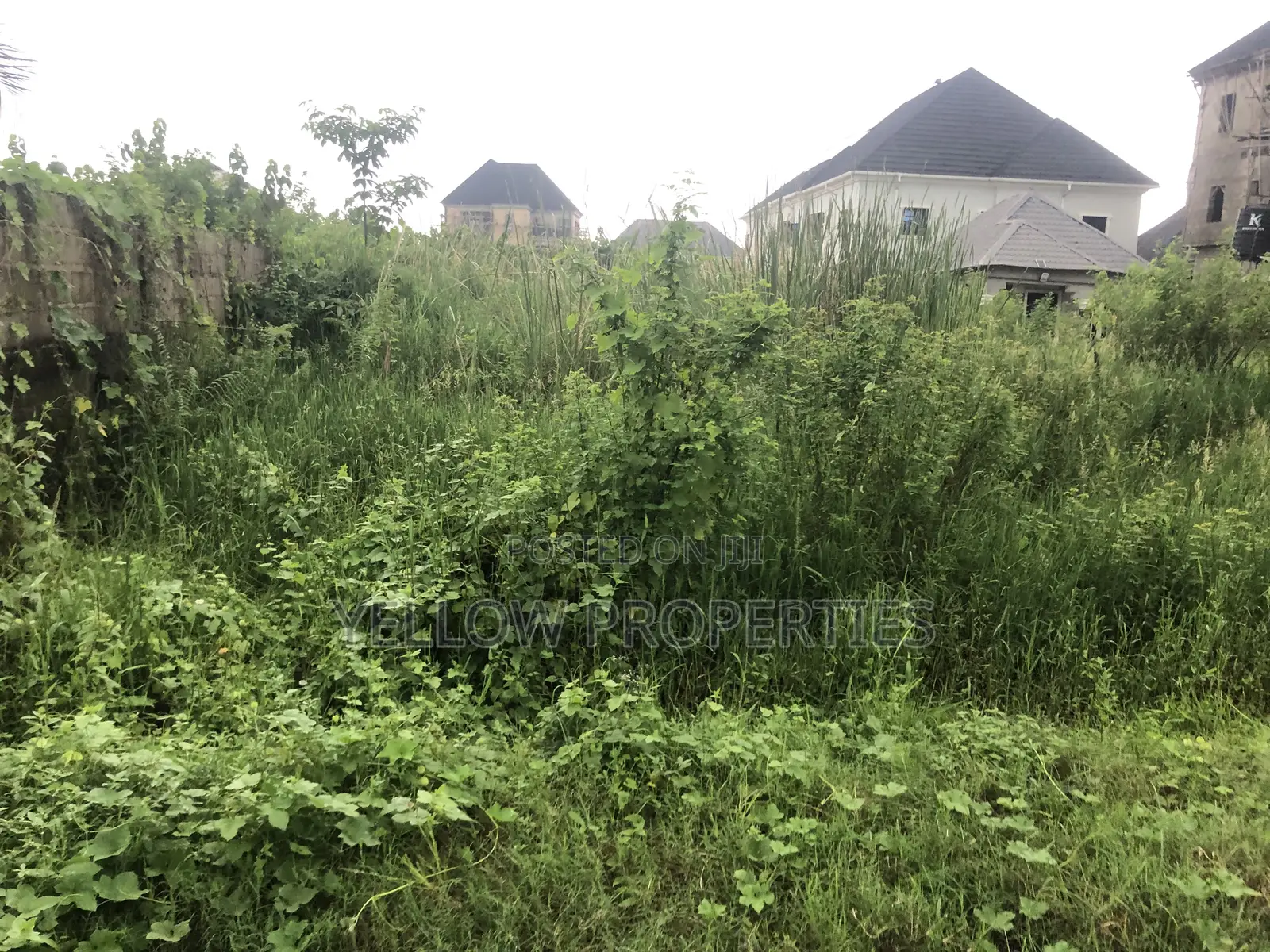 Full Plot of Land Available