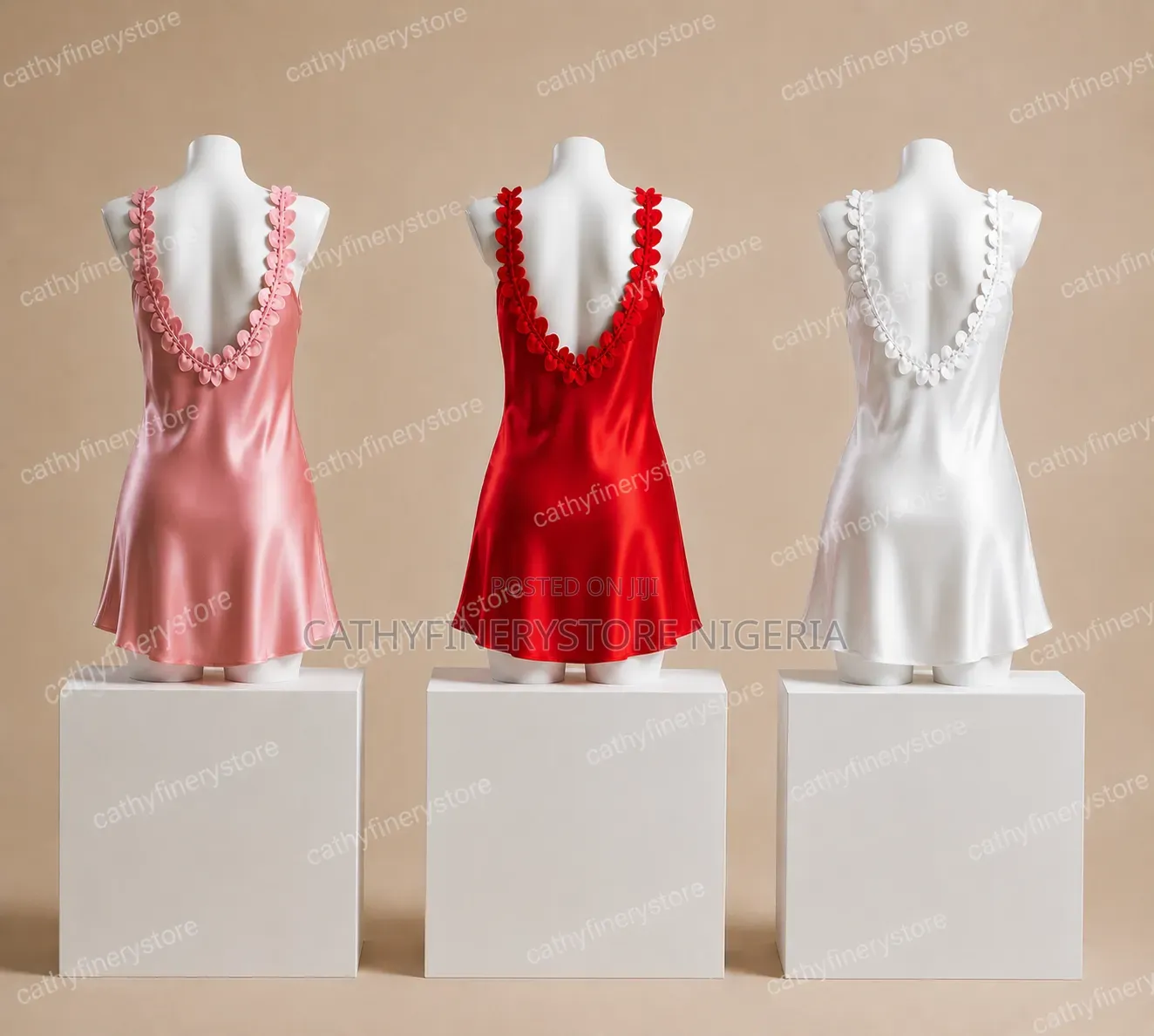 Ladies Lingerie/Nightgown