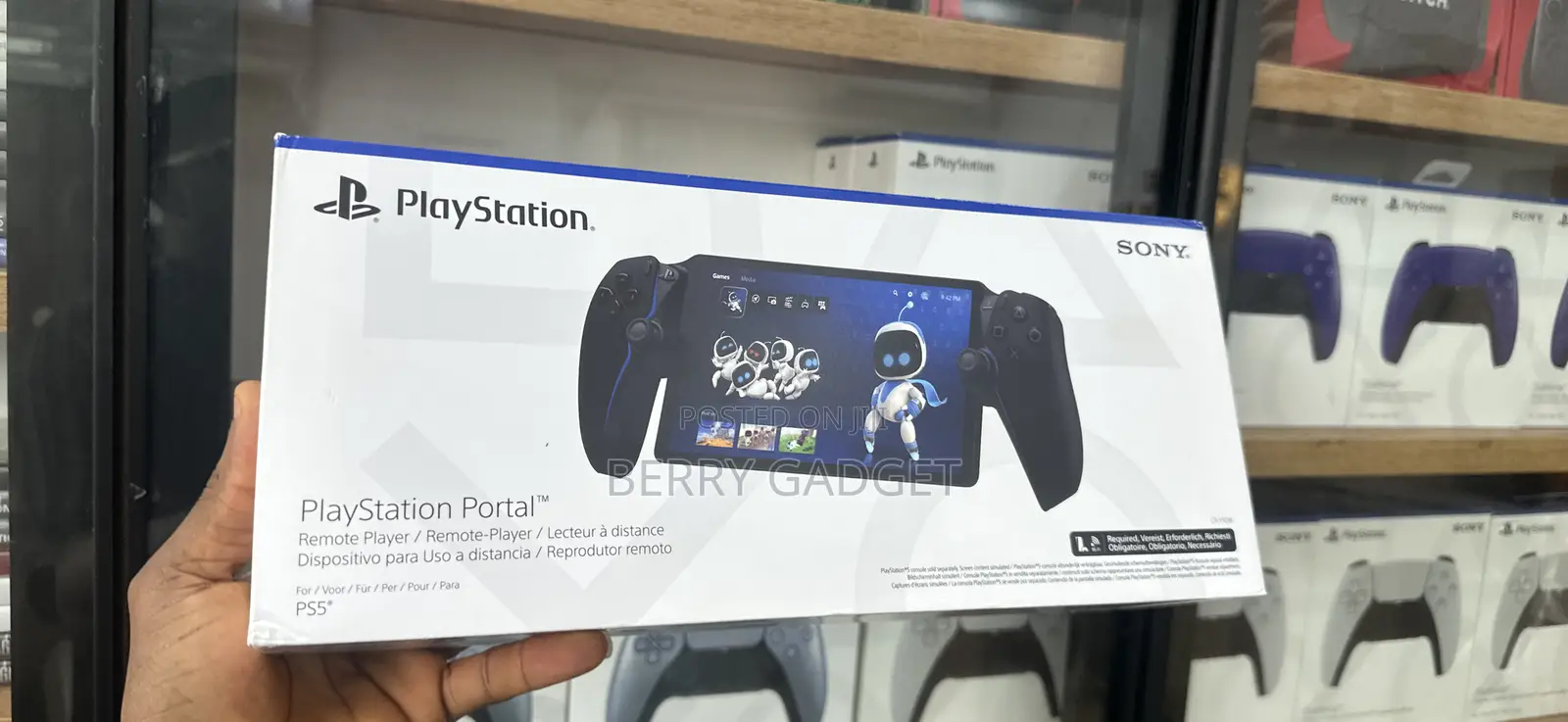 Playstation Portal