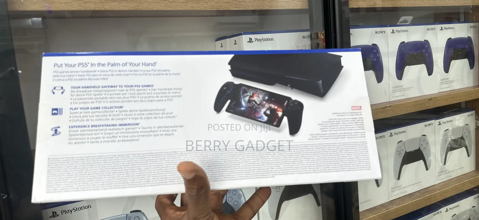 Playstation Portal