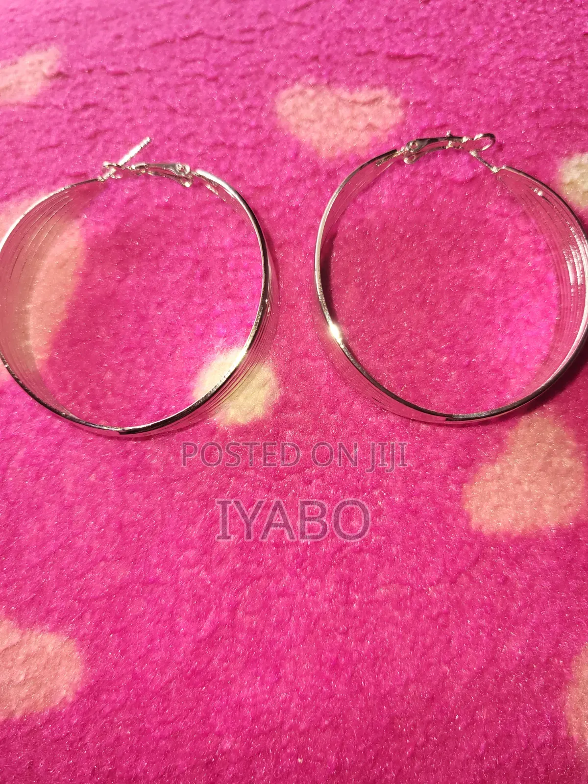 Silver Toned Hoop Earrings