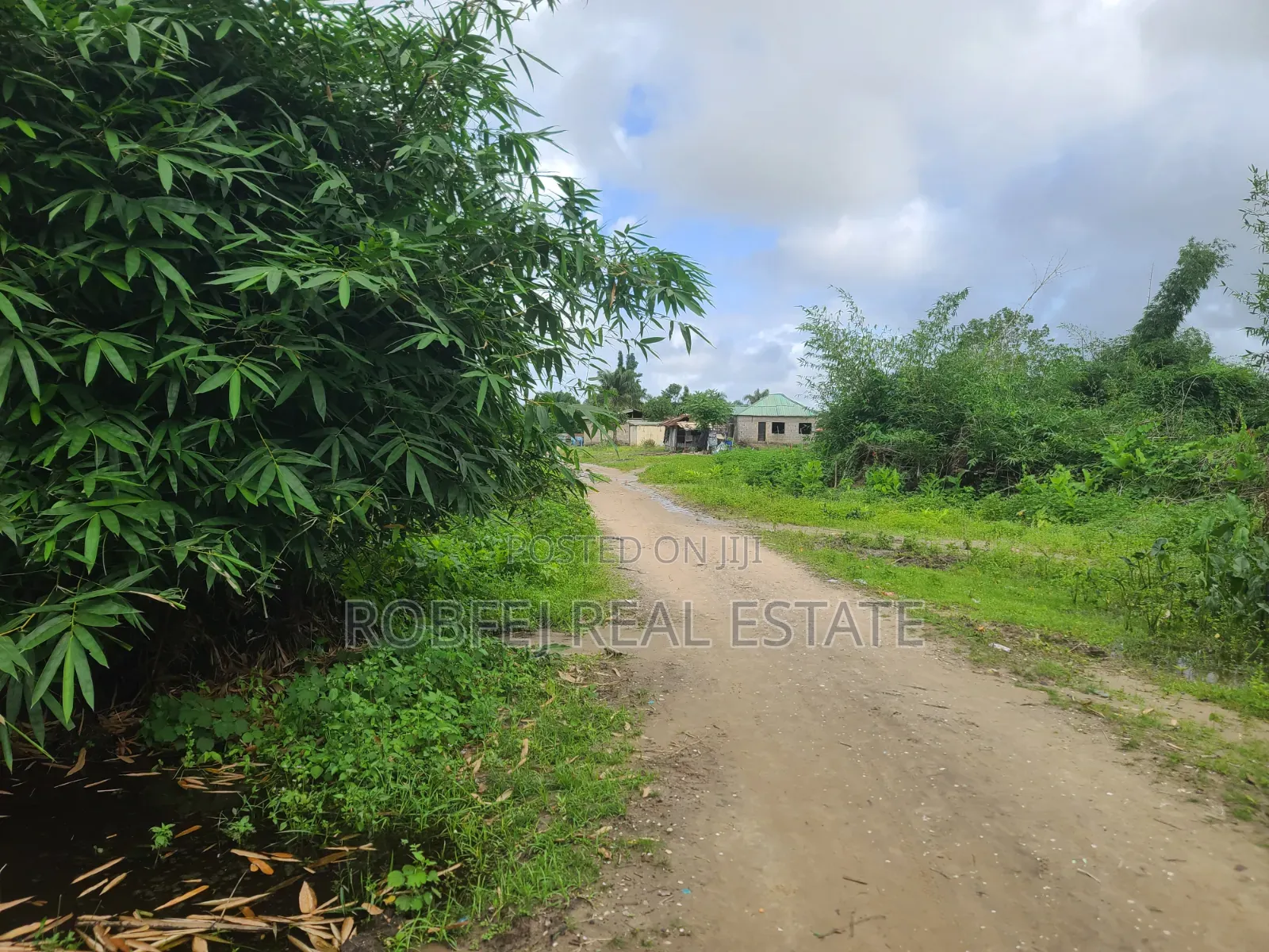 Premium Investment Opportunity Dry Land for Sale at Dongo Community
