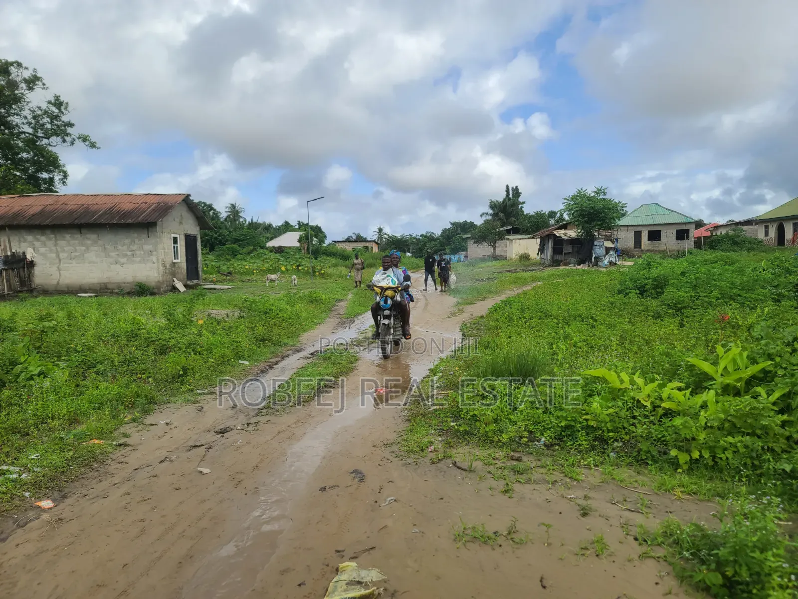 Premium Investment Opportunity Dry Land for Sale at Dongo Community