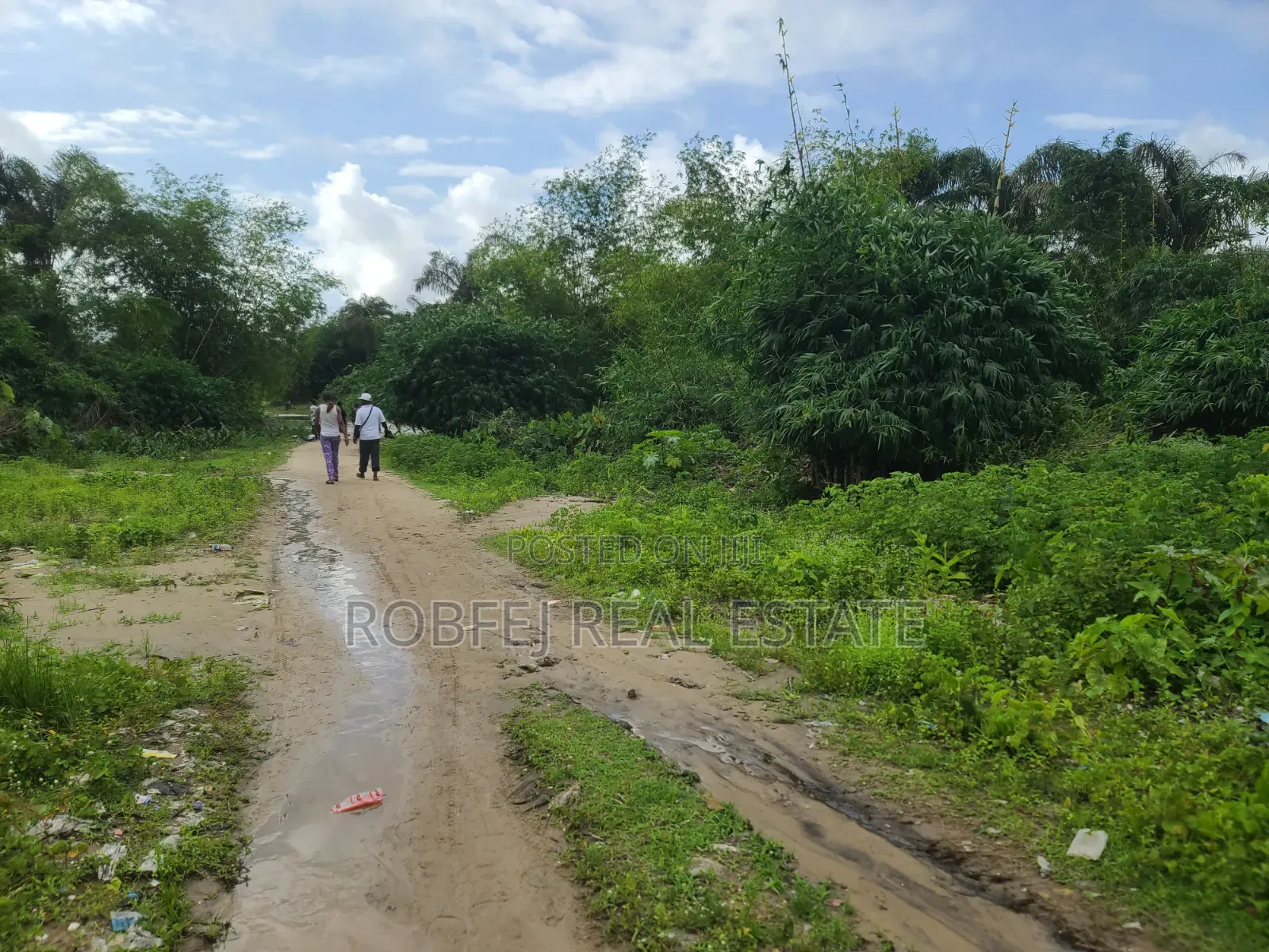 Premium Investment Opportunity Dry Land for Sale at Dongo Community