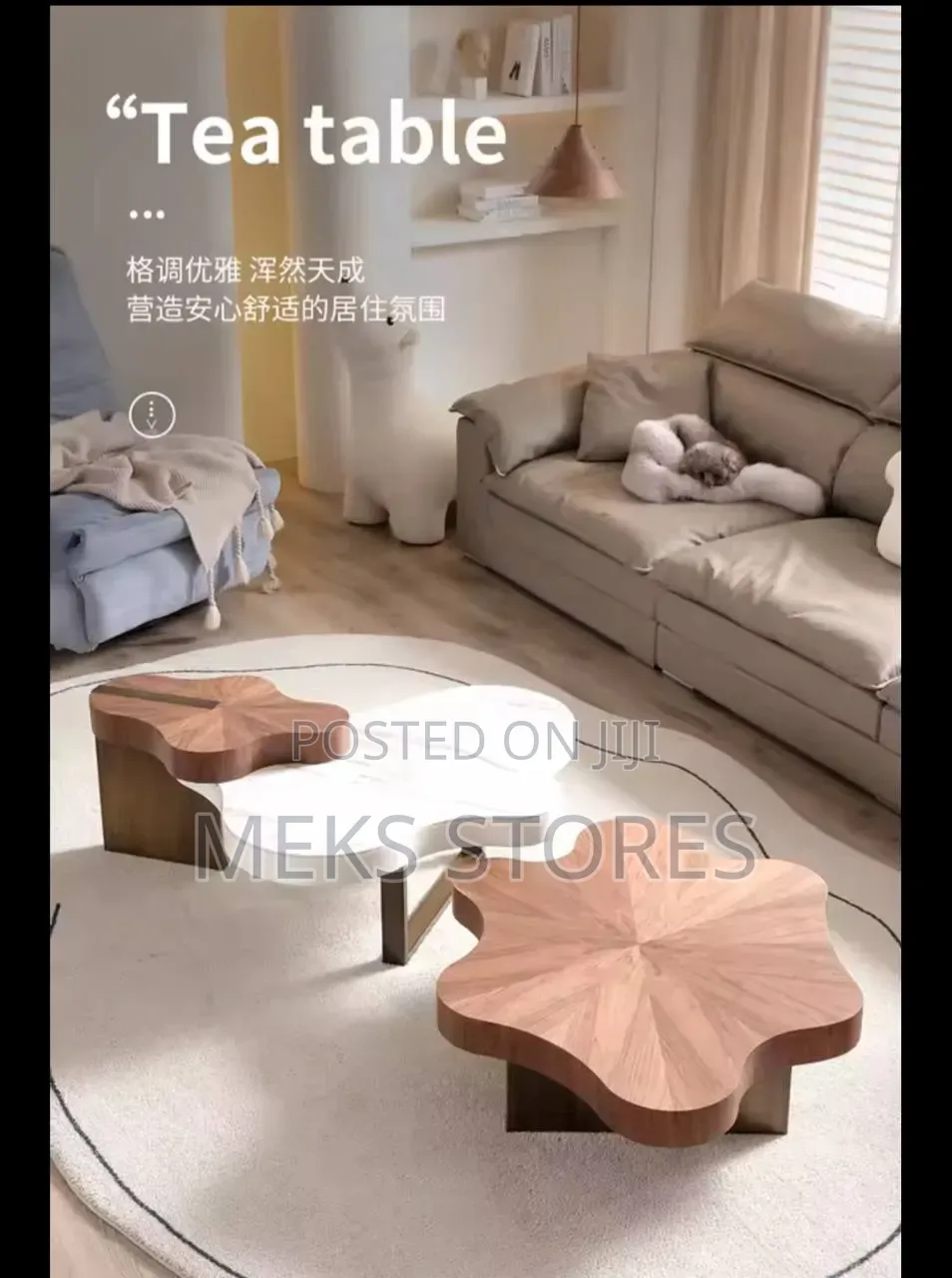 Contemporary Coffee Center Table