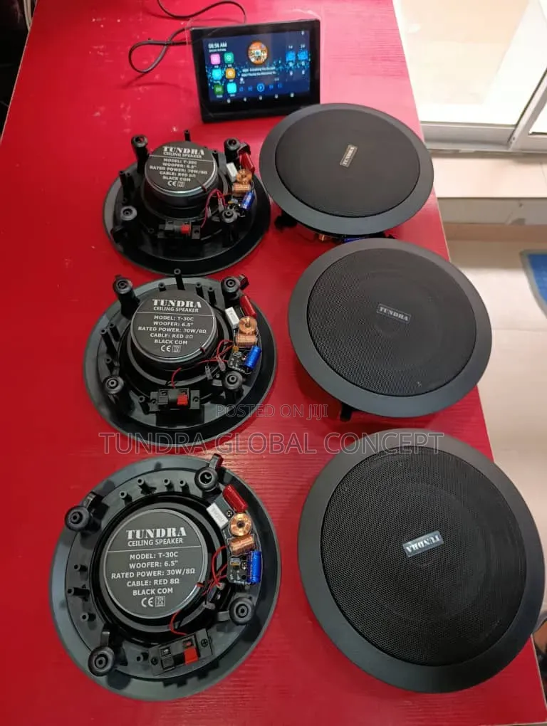 Tundra Smart Home Sound System
