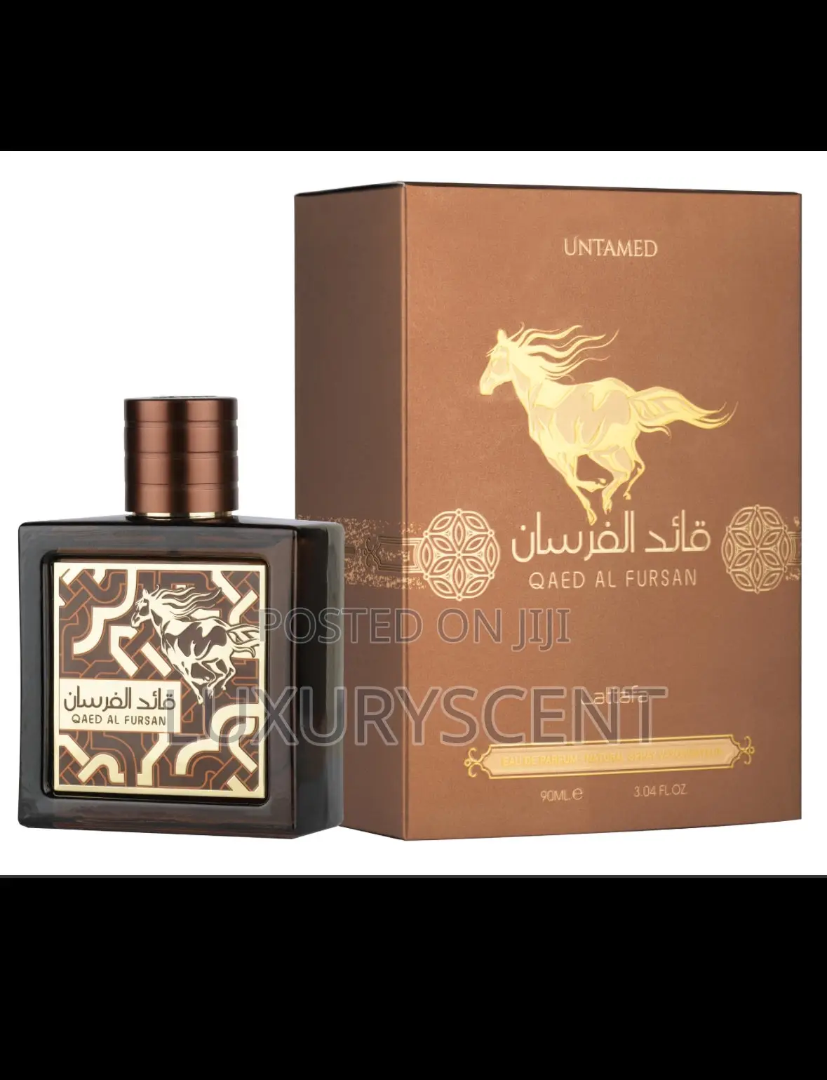 Qaed Al Fursan Untamed
