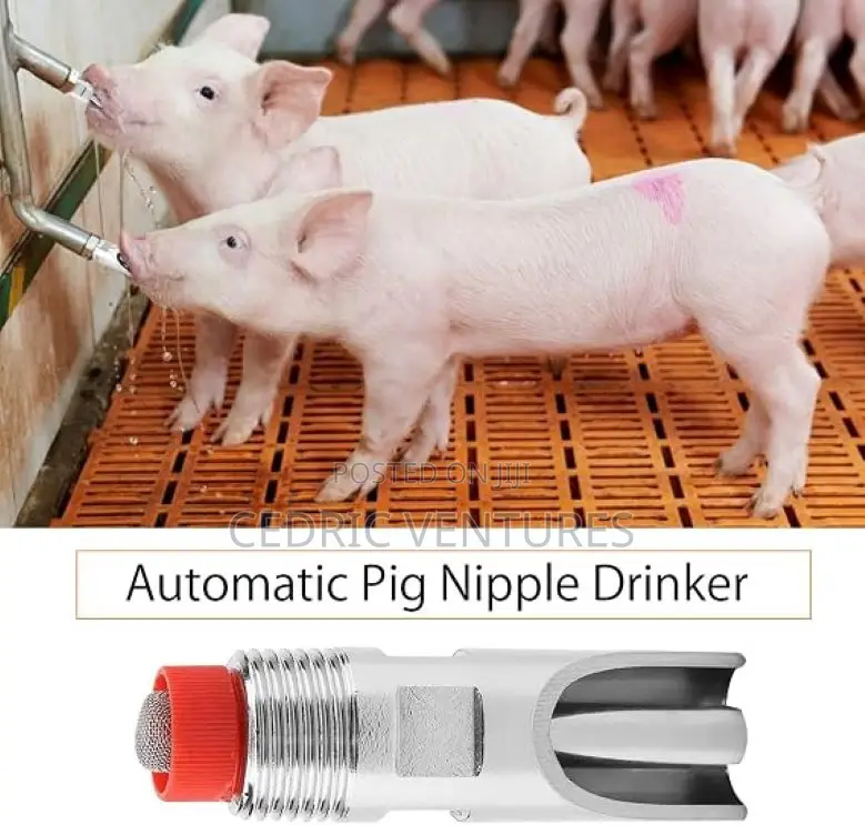 Stainless Steel Pig Nipple Drinker Feeder - 5 Pieces