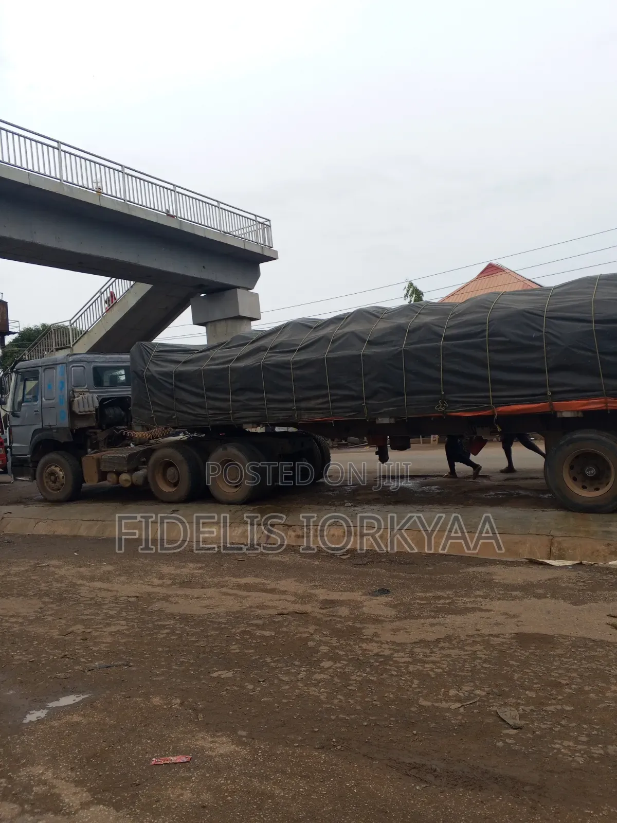 Dangote and Bua Cement Distributor in Kano