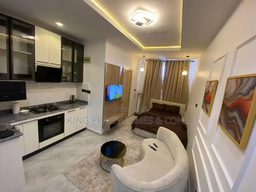 Furnished 1bdrm Apartment in Lagos Island / Lagos Island for sale