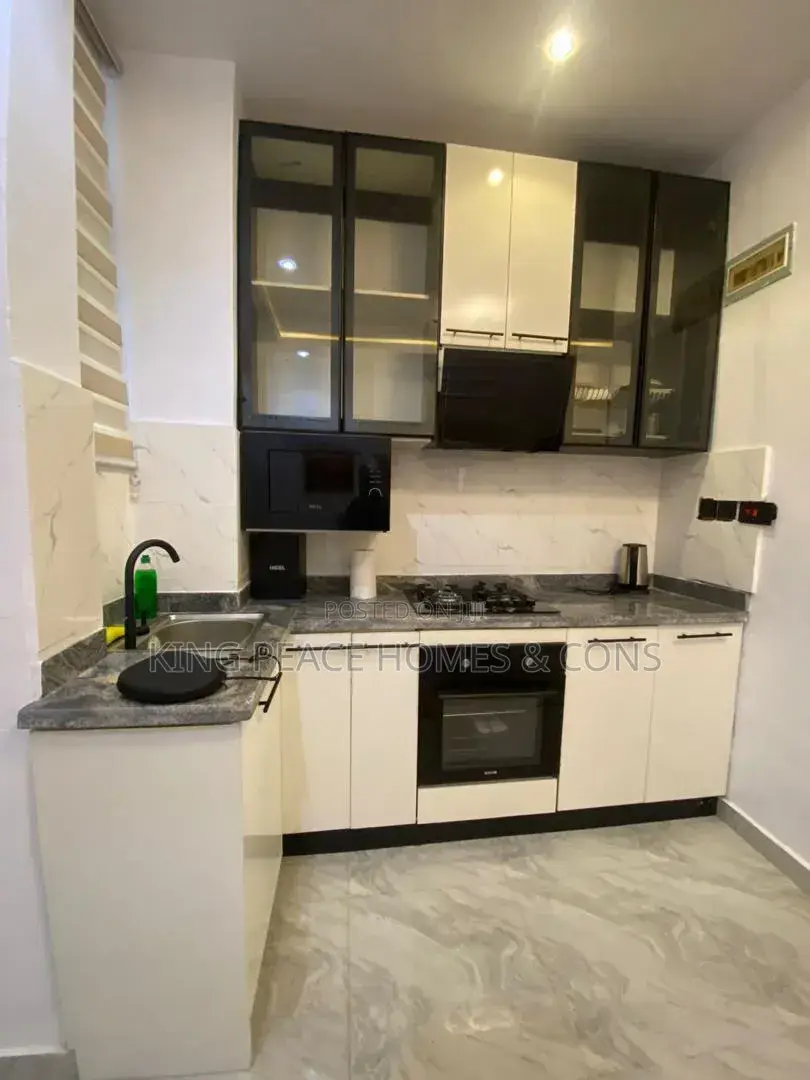 Furnished 1bdrm Apartment in Lagos Island / Lagos Island for sale
