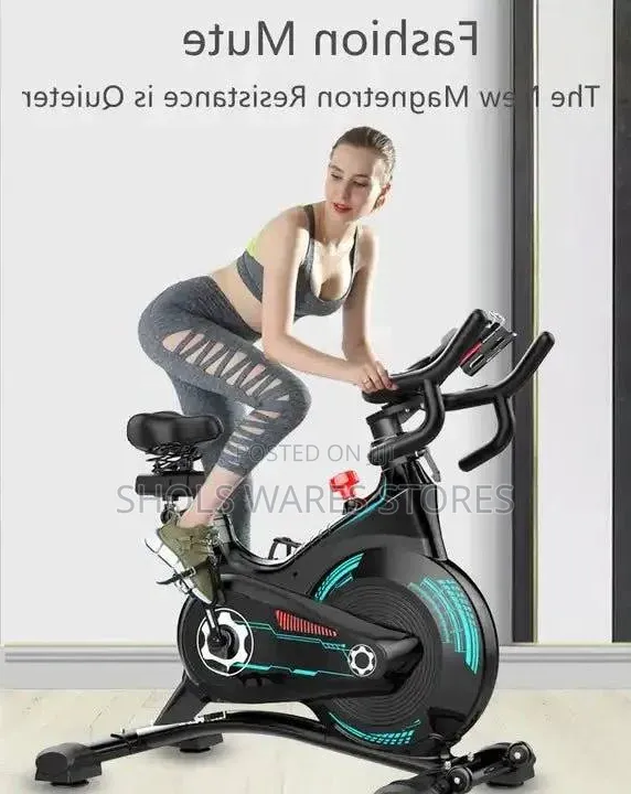 Fashion Mute Indoor Exercise Spin Bike – Quiet Magnetic Resistance