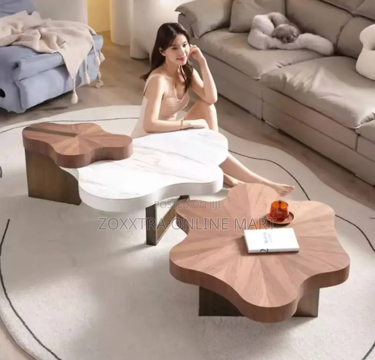 Modern Irregular Coffee Table Set