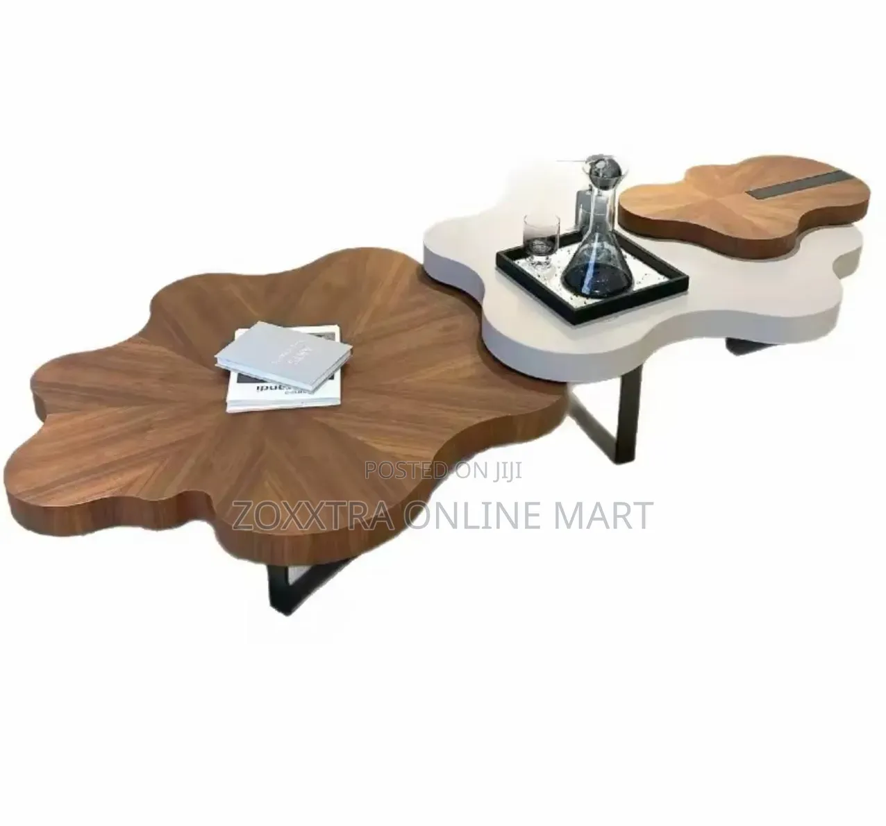 Modern Irregular Coffee Table Set