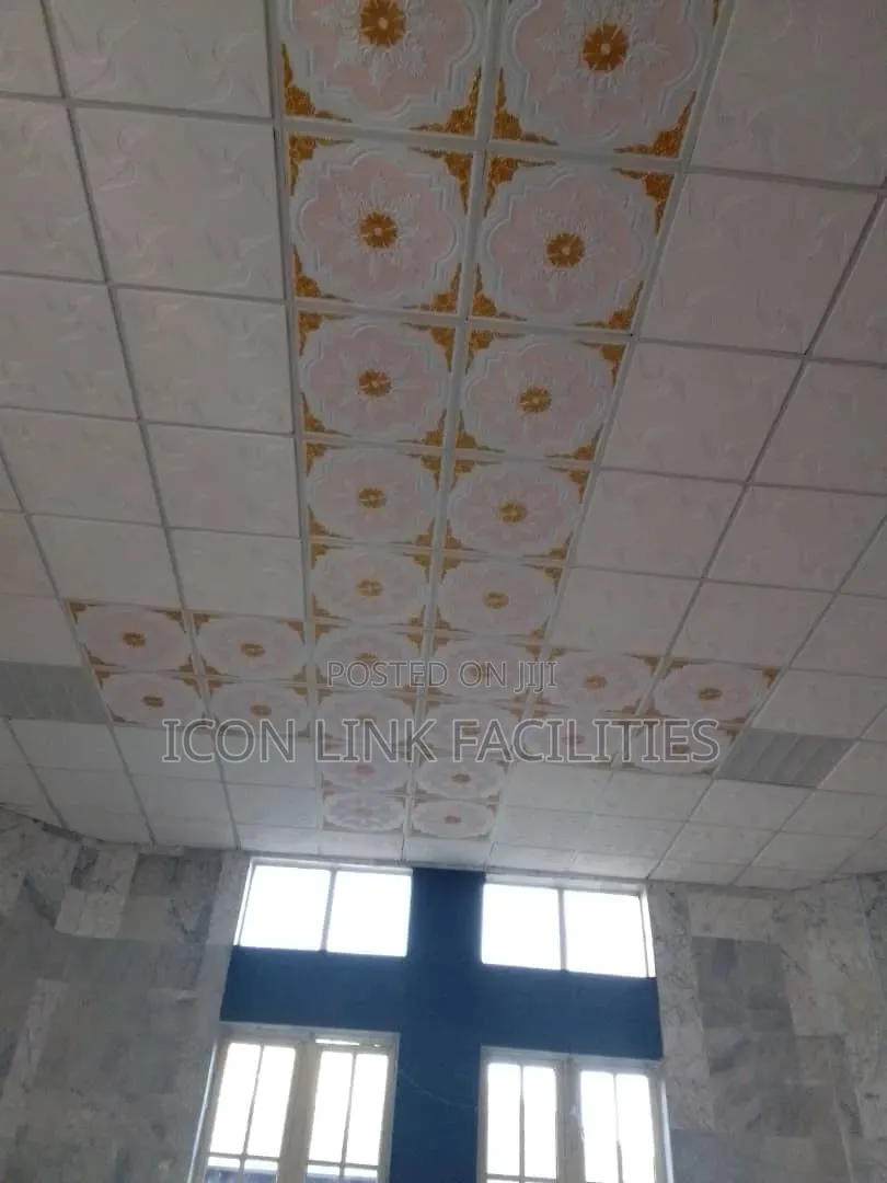 Suspended Ceiling Repairs and Replacement