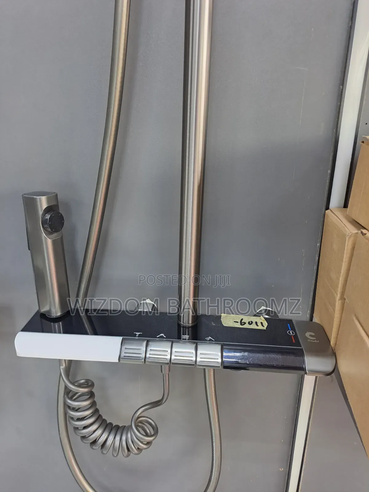 Executive Temperature Display Shower