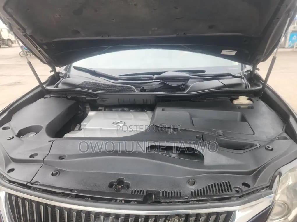 Lexus RX 2010 Blue