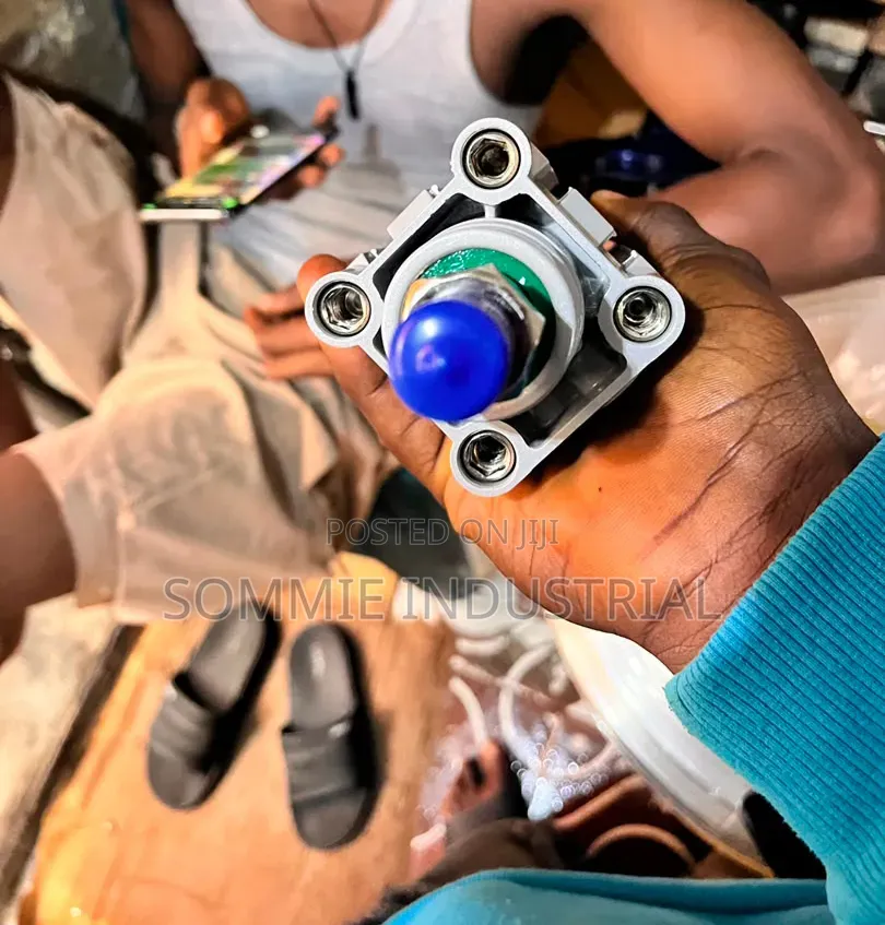 Pneumatic Air Cylinder