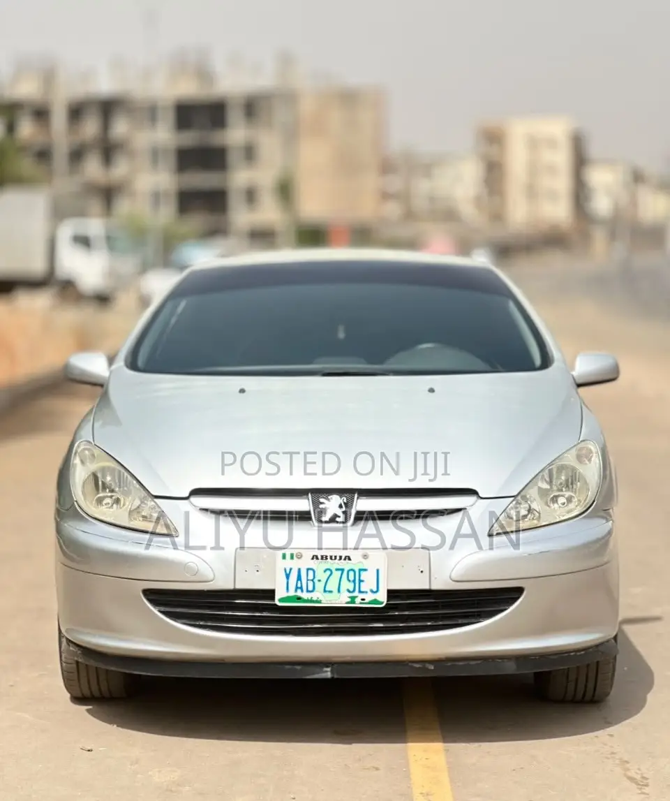 Peugeot 307 2007 Silver
