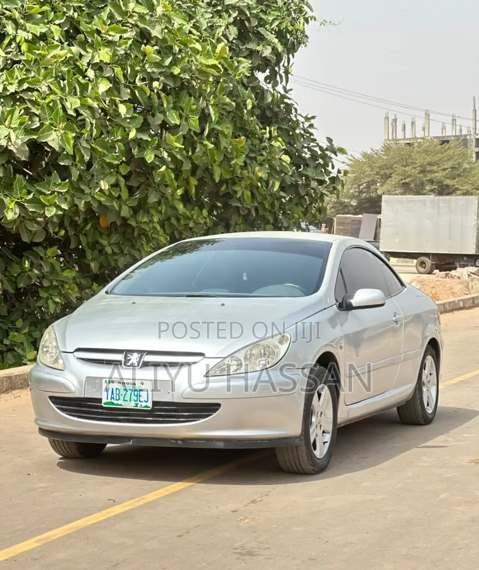 Peugeot 307 2007 Silver