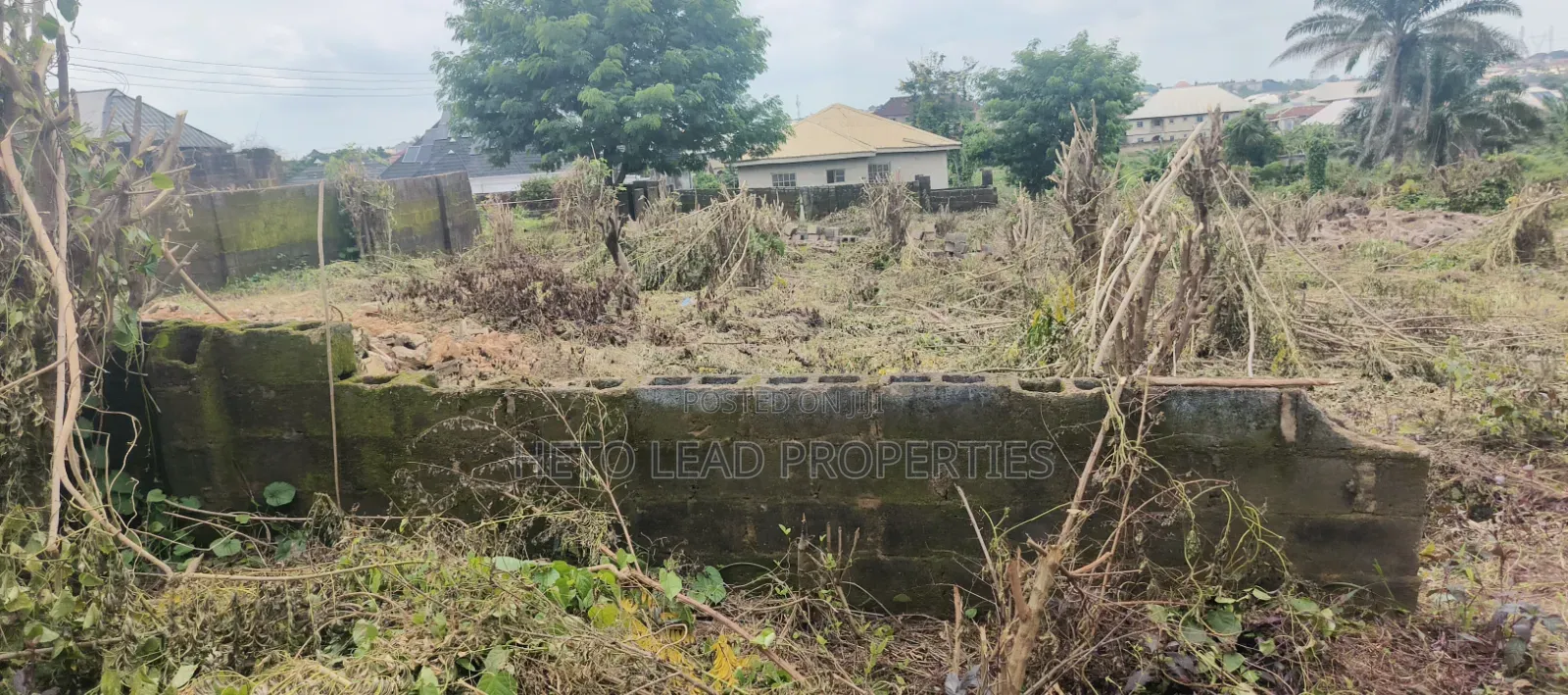 A Plot of Land at Niorth Extension With C of O