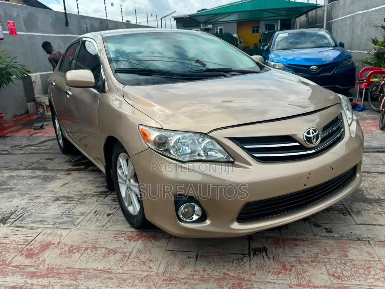 Toyota Corolla LE 4dr Sedan (1.8L 4cyl 4A) 2013 Gold