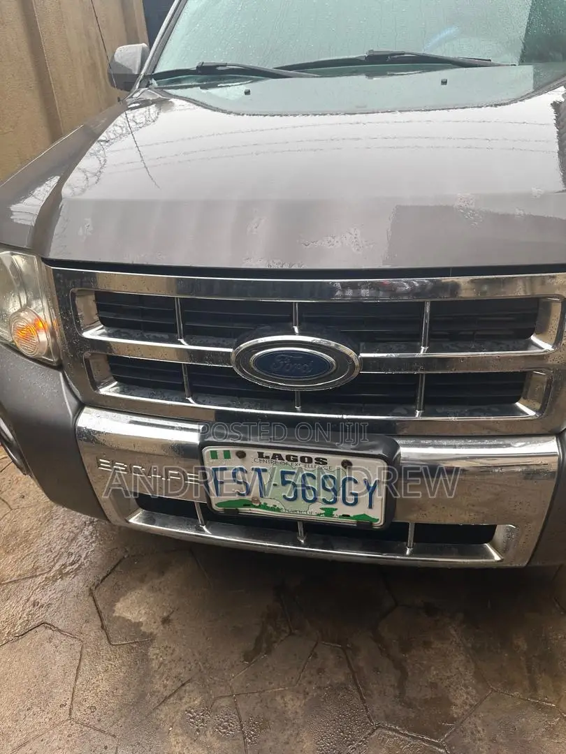 Ford Escape 2010 Gray