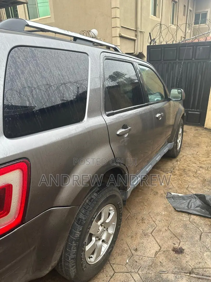 Ford Escape 2010 Gray