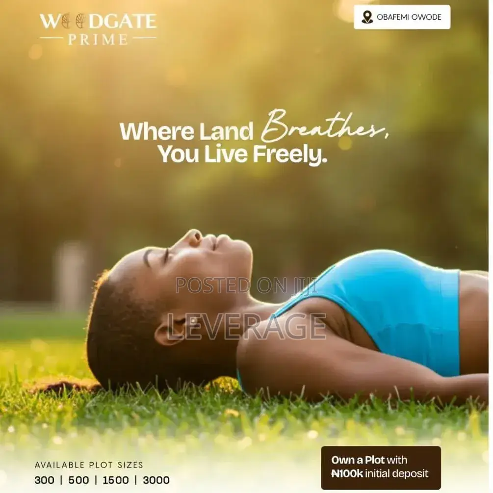 Buy Build Ready Land in the Axis of Chinese Companies, Obafemi-Owode
