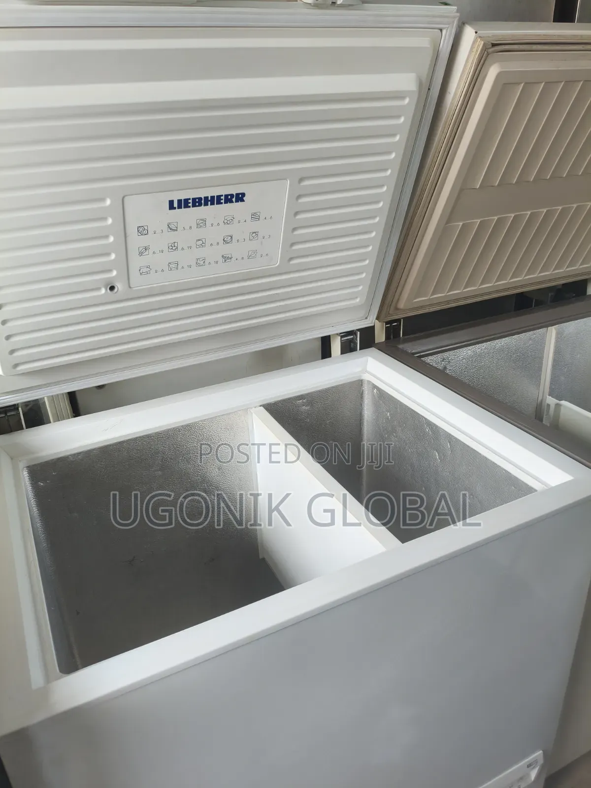 German Liebherr Deep Freezer for Frozen Foods
