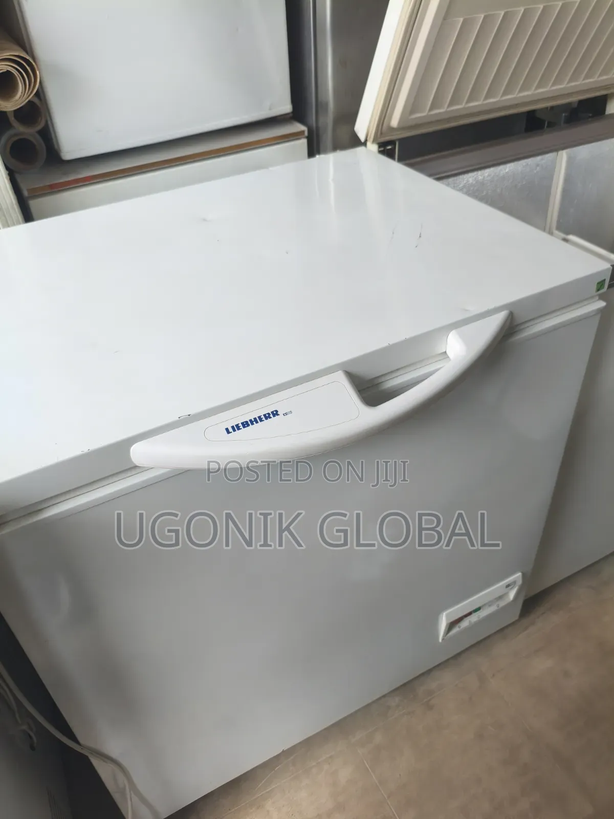 German Liebherr Deep Freezer for Frozen Foods
