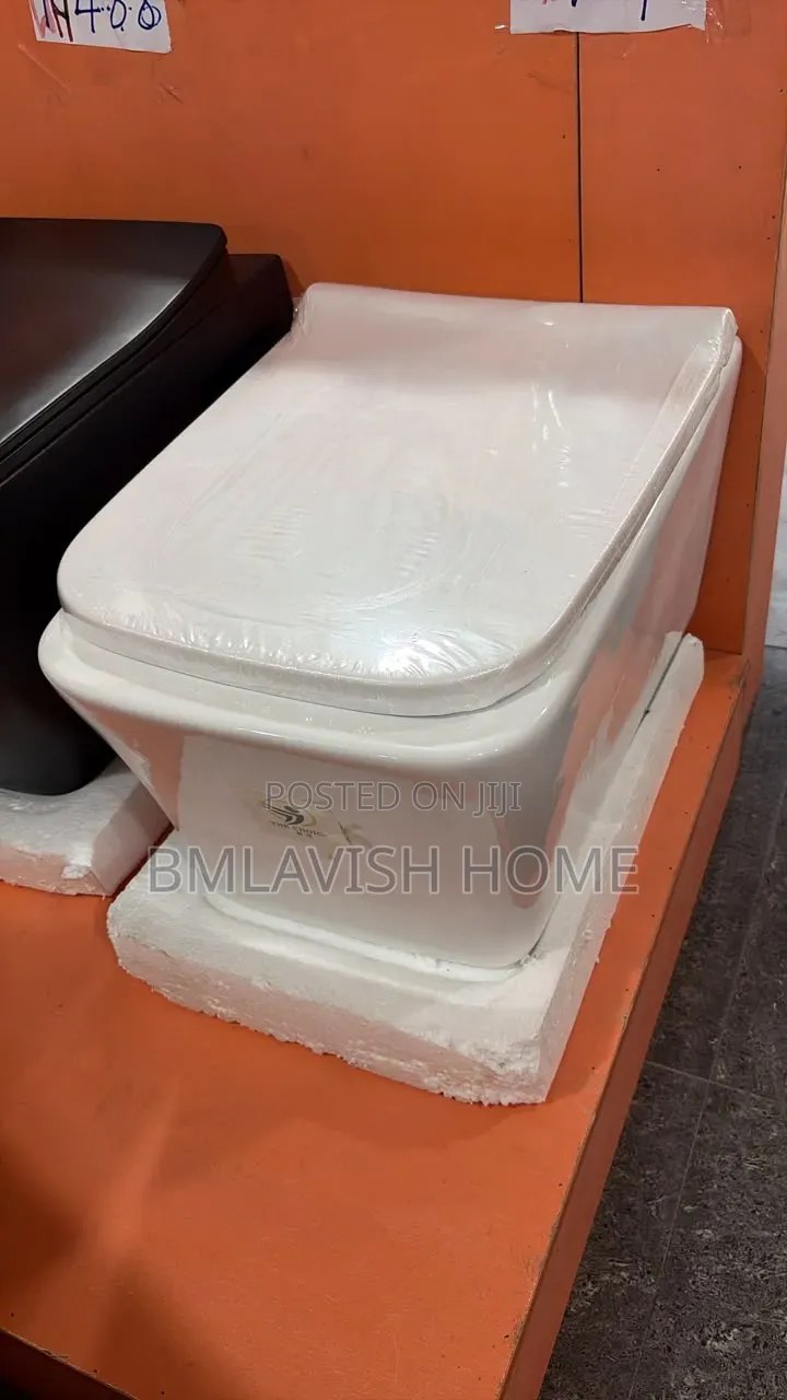 Original Wall Hung Water Closet the Choice Product