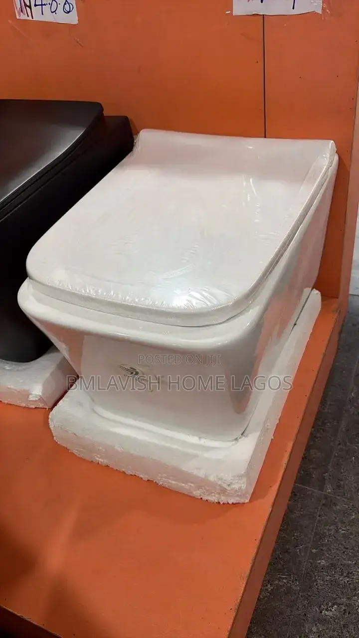 Original Wall Hung Water Closet the Choice Product