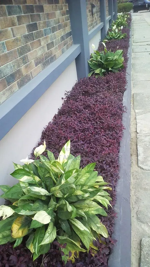 Gardener Service