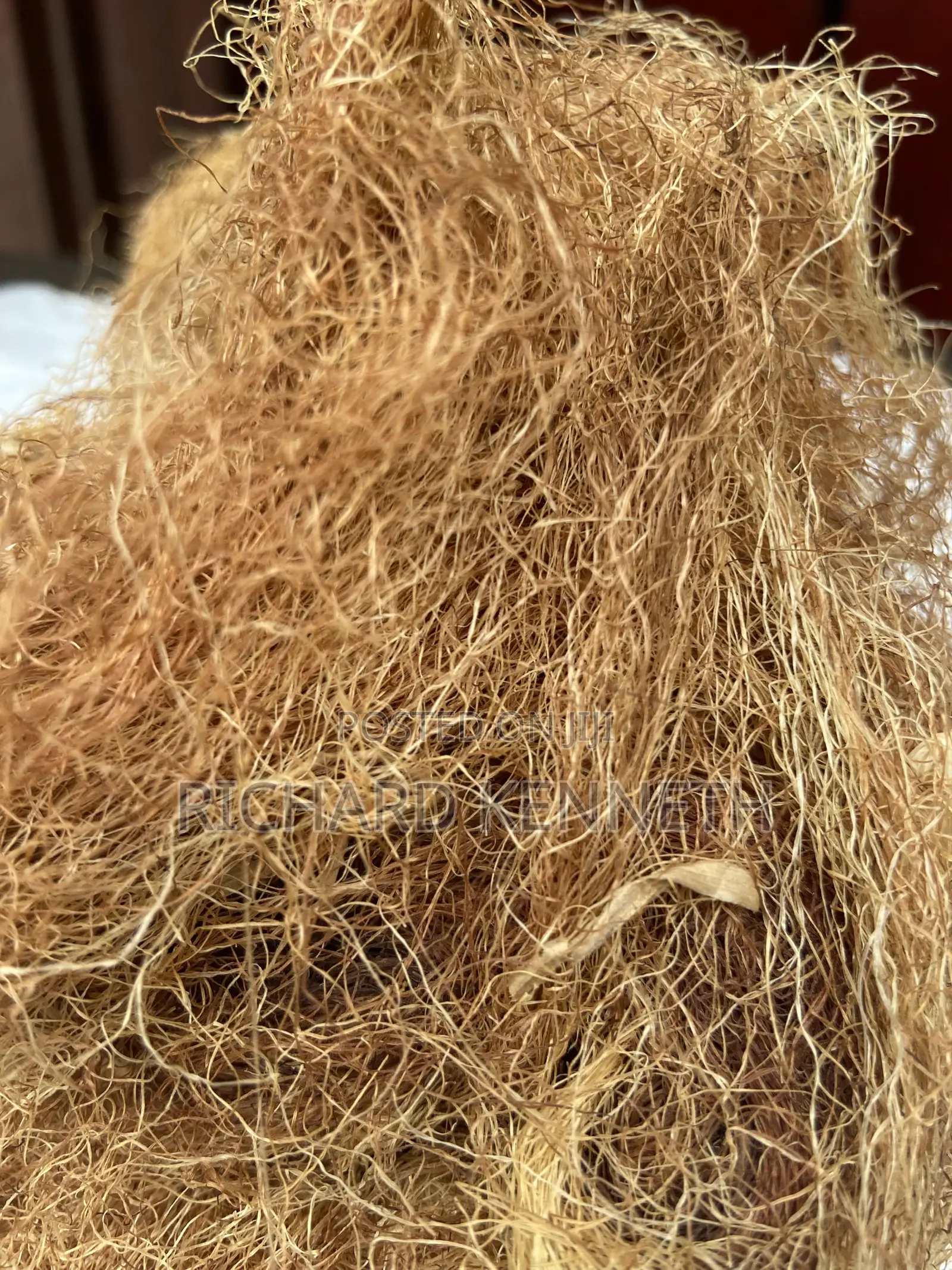 Corn Silk - 100g