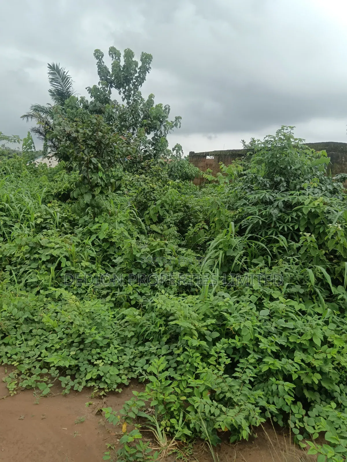 Ipakere Epe Land With Survey and Deed of Assignment