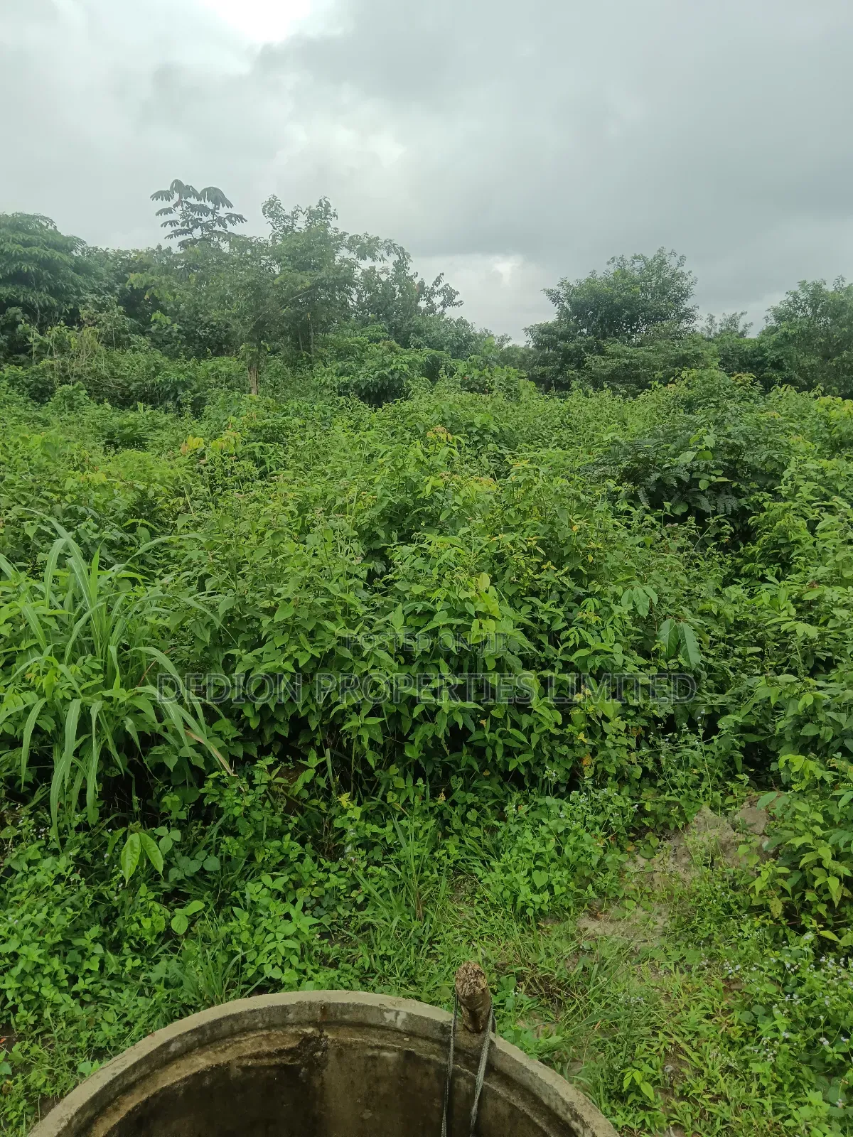 Ipakere Epe Land With Survey and Deed of Assignment