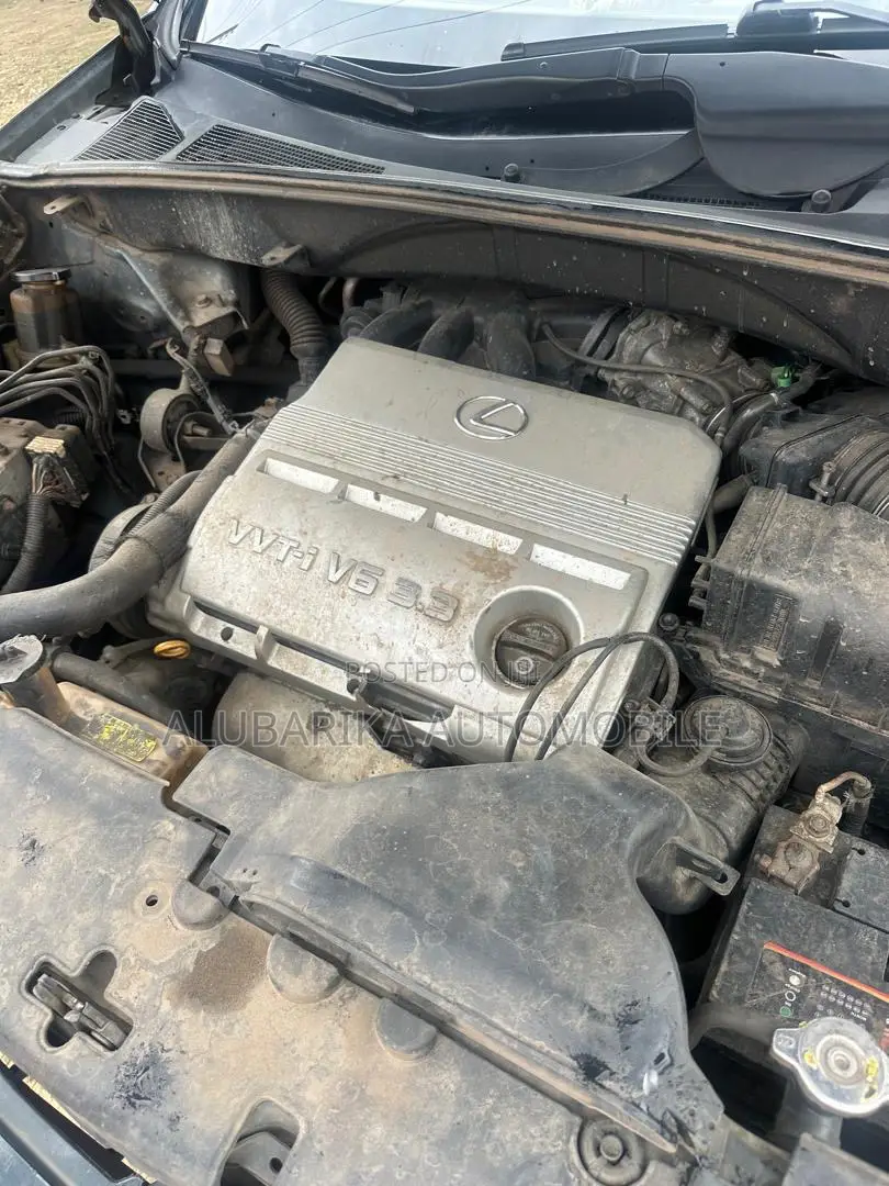 Lexus RX 330 2005 Gray