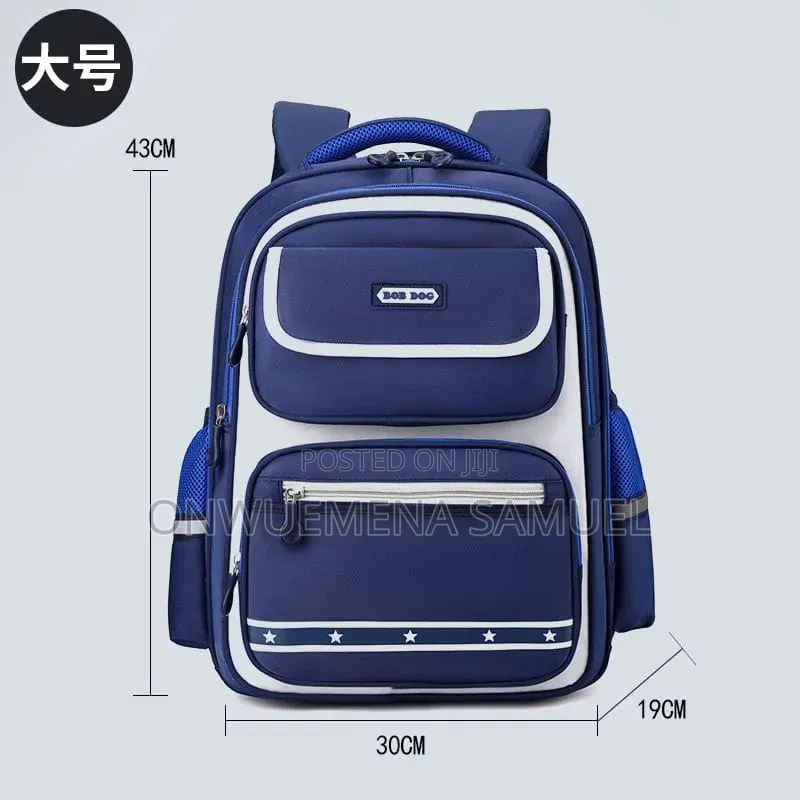 Premium Quality High School Bag